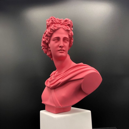 Apollo bust rosewood