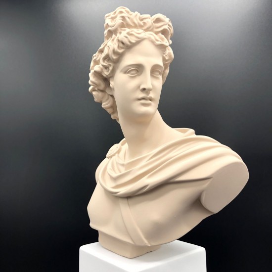 Apollo bust sable