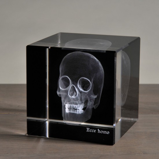 3-dimensional skull...