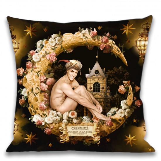Housse de coussin CELENIUS...