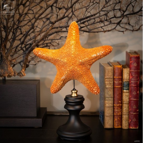 Starfish on wood base