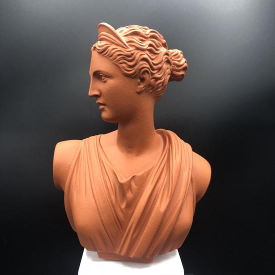 Artemis bust brique L