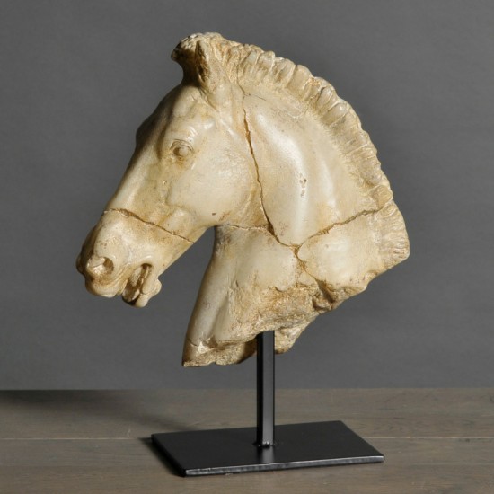 Tête de cheval de Monti...