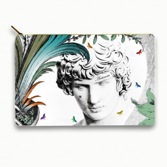 Case Antinous