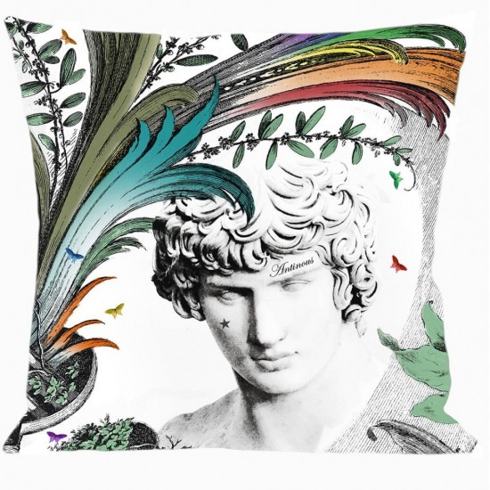 Cushion cover ANTINOUS 60cm