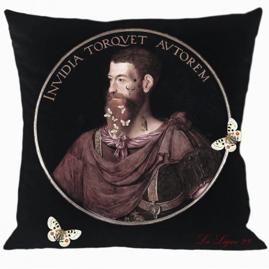 Housse de coussin Red Beard...