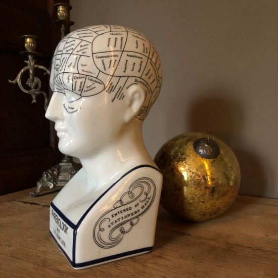 Phrenology head large