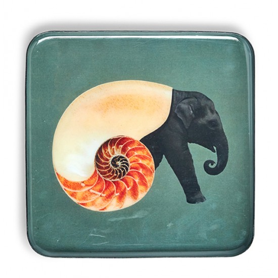 TRINKET TRAY SHELLEPHANT