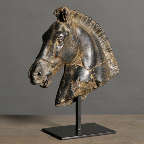 Monti's Horse head