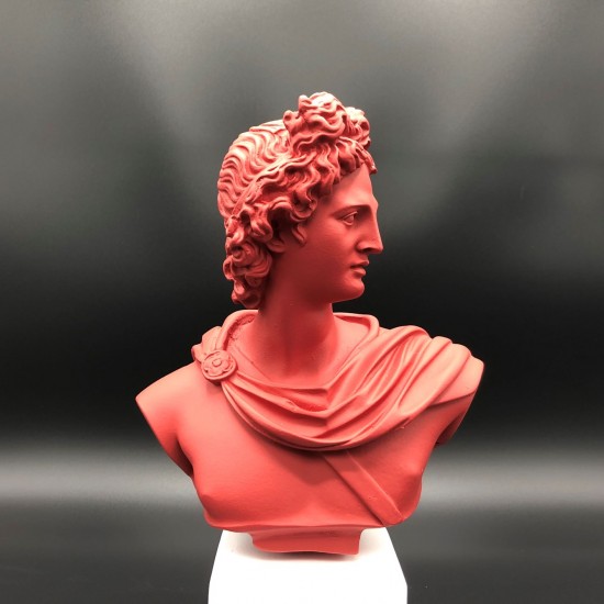 Apollo bust barn-red L